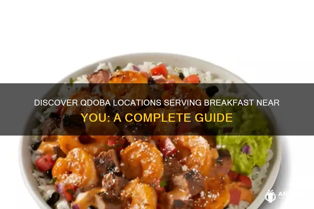 which qdoba