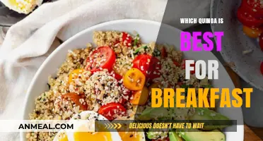 Best Quinoa for Breakfast: Top Picks for a Nutritious Morning Boost