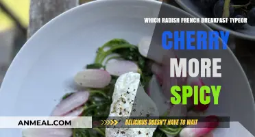 French Breakfast vs. Cherry Radish: Which Packs More Heat?