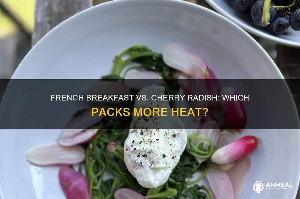 which radish french breakfast typeor cherry more spicy