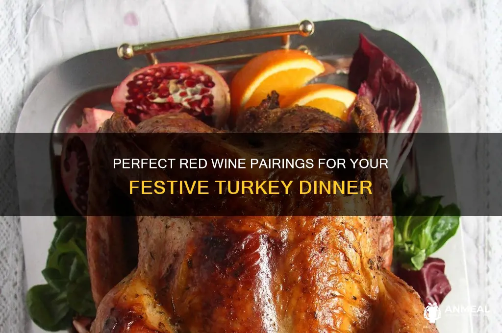 which red wine with turkey dinner