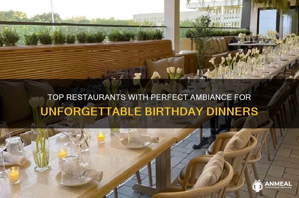 which restaurant has the best ambiance for a birthday dinner