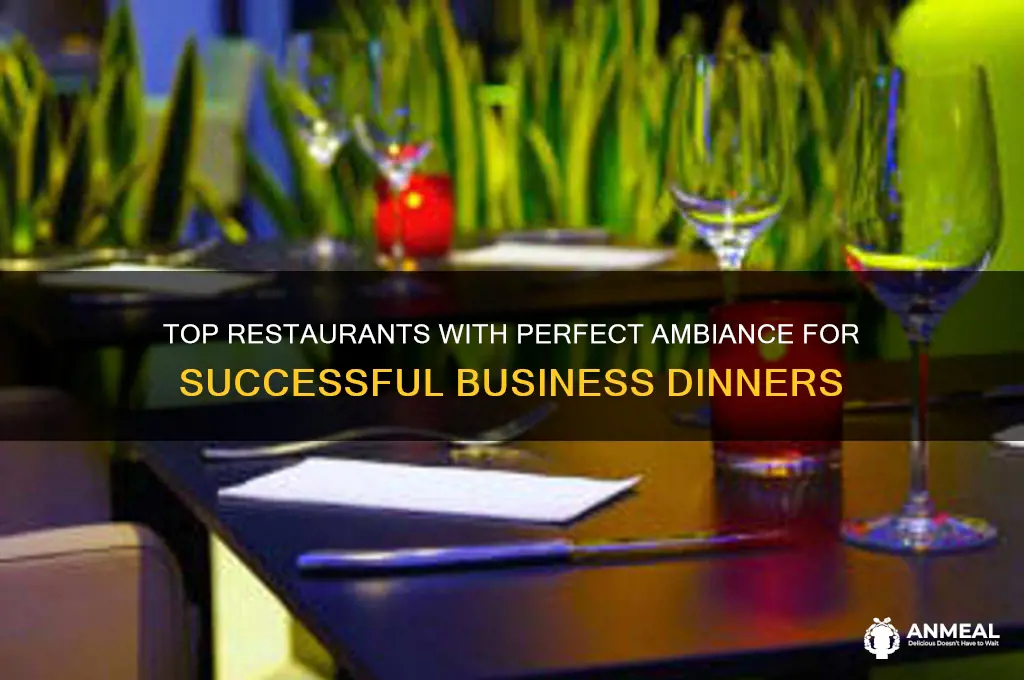 which restaurant has the best ambiance for a business dinner