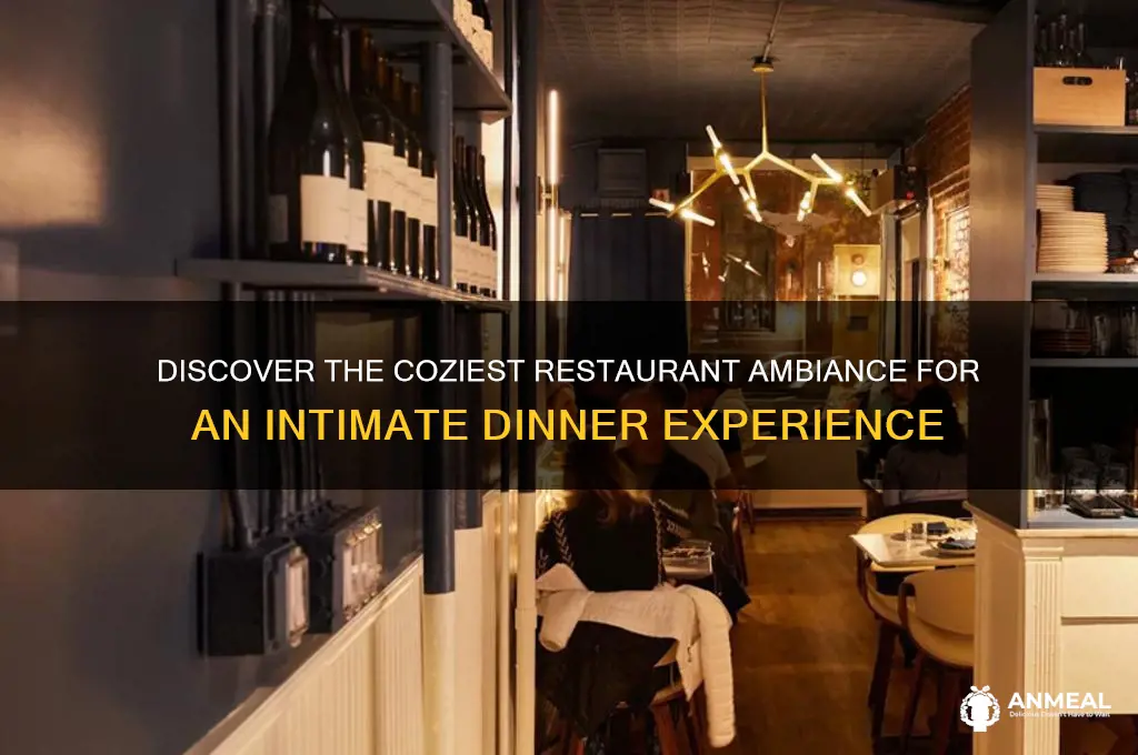 which restaurant has the best ambiance for a cozy dinner