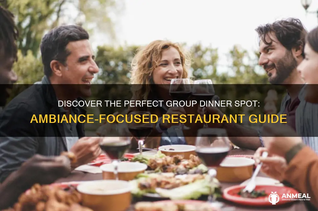 which restaurant has the best ambiance for a group dinner