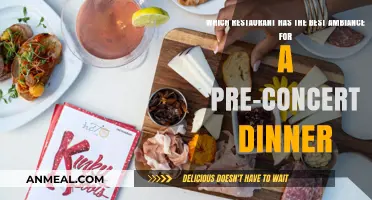 Top Restaurants with Perfect Ambiance for Your Pre-Concert Dinner
