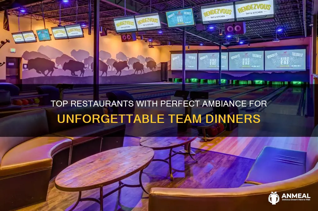 which restaurant has the best ambiance for a team dinner