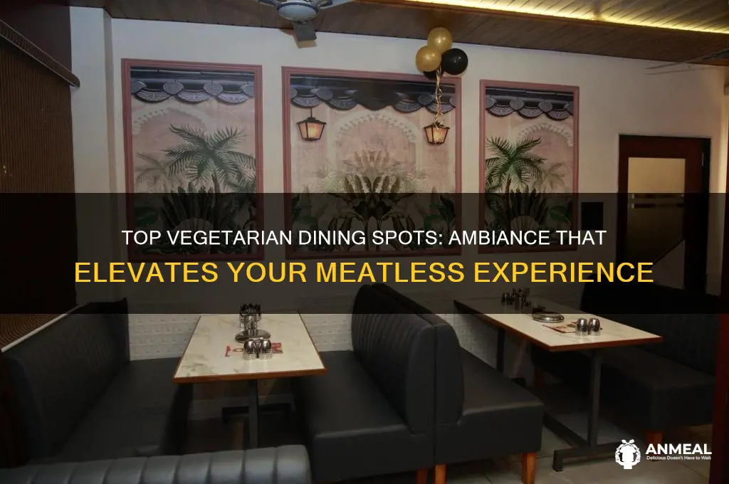 which restaurant has the best ambiance for a vegetarian dinner