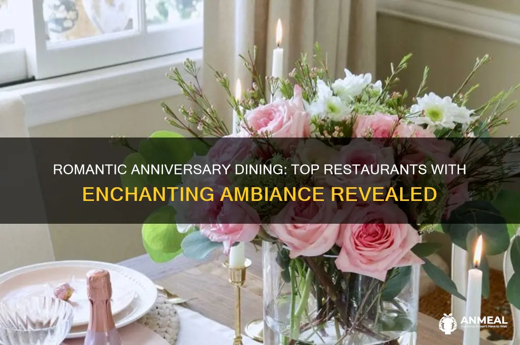 which restaurant has the best ambiance for an anniversary dinner