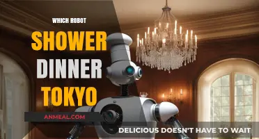 Robot-Served Shower Dinners: Tokyo's Futuristic Dining Experience Explained