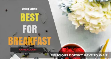 Top Breakfast Seeds: Boost Energy, Health, and Flavor Daily