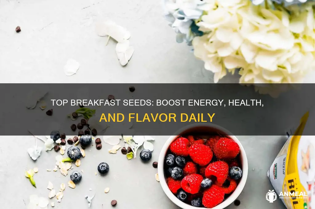 which seed is best for breakfast