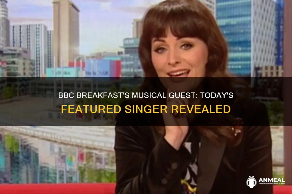 which singer was on bbc breakfast this morning