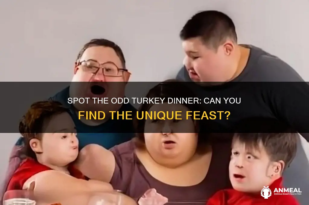 which turkey dinner picture is differenty