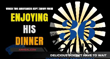 Zaroff's Dinner Disruptions: Unraveling the Two Persistent Annoyances