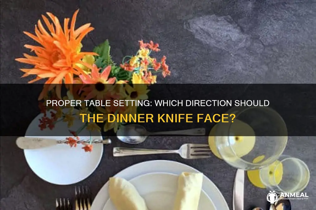 which way does the dinner knife face