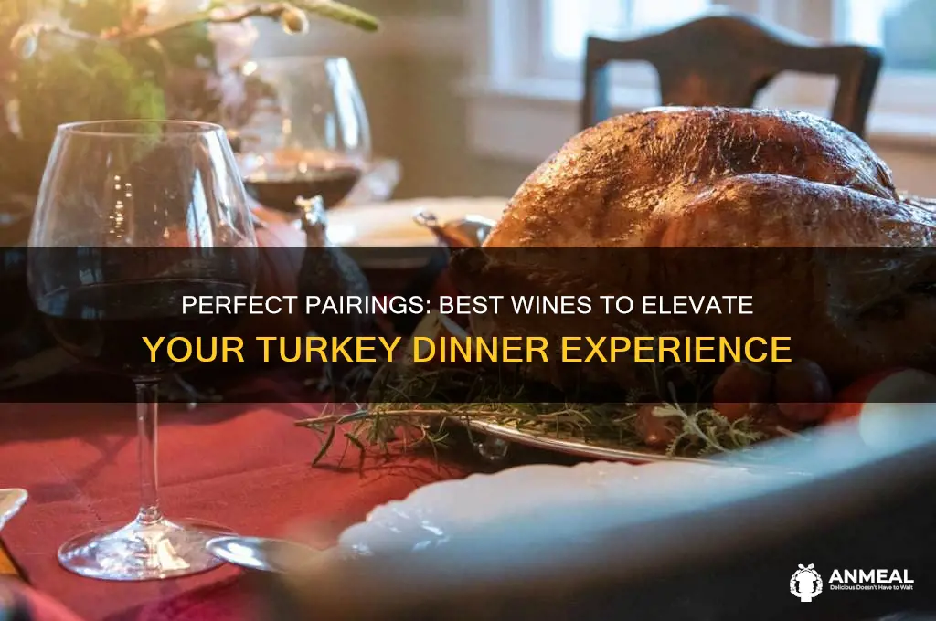 which wine for turkey dinner