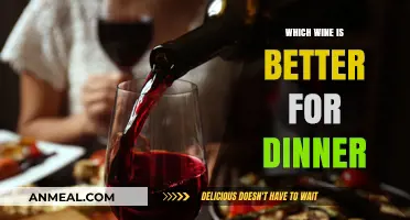 Perfect Pairings: Choosing the Best Wine to Elevate Your Dinner Experience