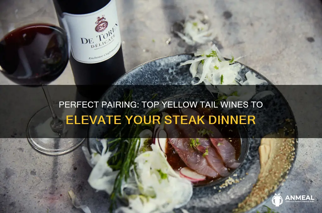 which yellow tail wine is best with steak dinner