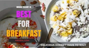 Best Breakfast Yogurt Picks: Healthy, Delicious Morning Fuel Choices