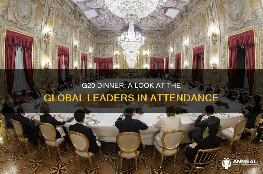 who attended g20 dinner