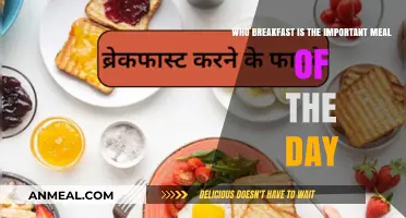 Why Breakfast is the Most Important Meal of the Day