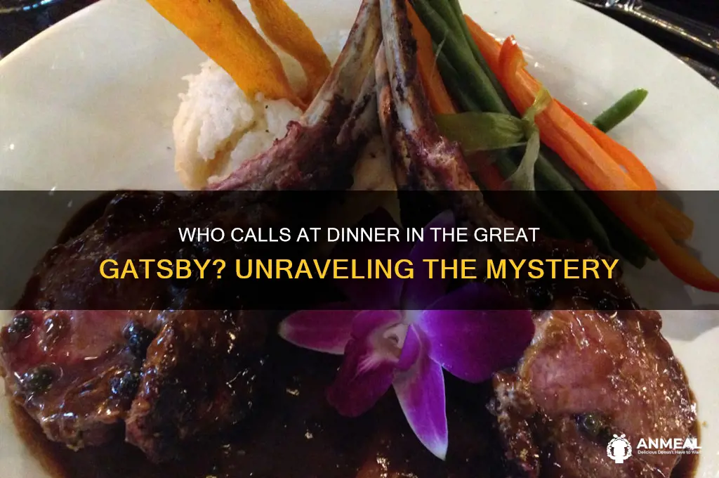 who call at dinner in the great gatsby