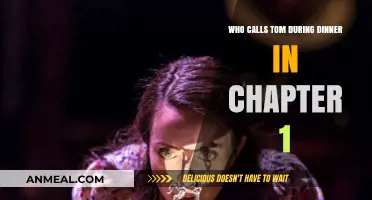 Dinner Interrupted: Unveiling the Mystery Caller in Chapter 1