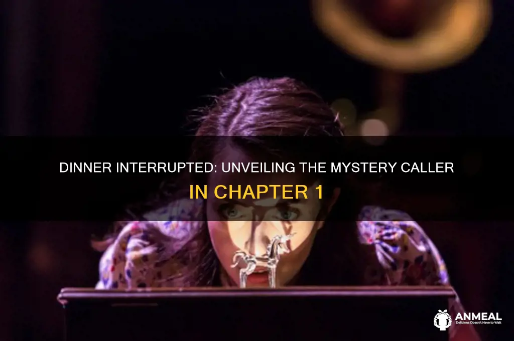 who calls tom during dinner in chapter 1