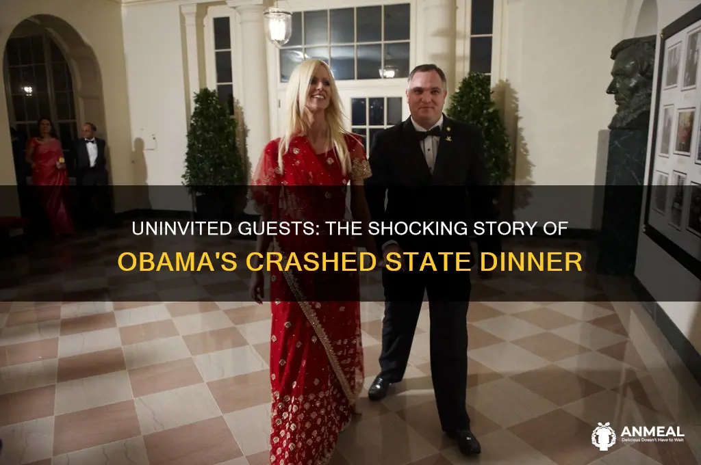 who crashed obama