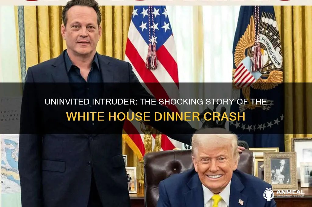 who crashed the white house dinner