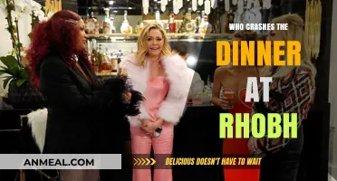 RHOBH Dinner Crashers: Who Ruined the Night and Why?