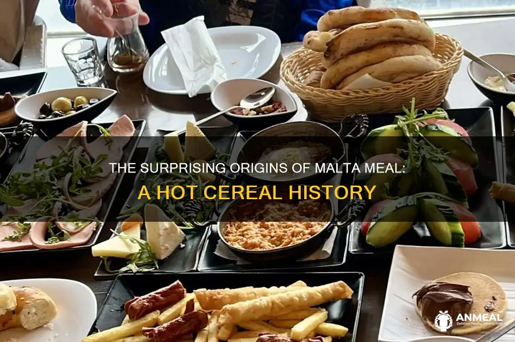who created the hot breakfast cereal malta meal