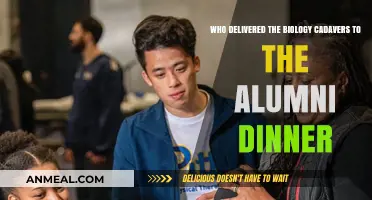 Unveiling the Mystery: Cadaver Delivery at the Alumni Dinner