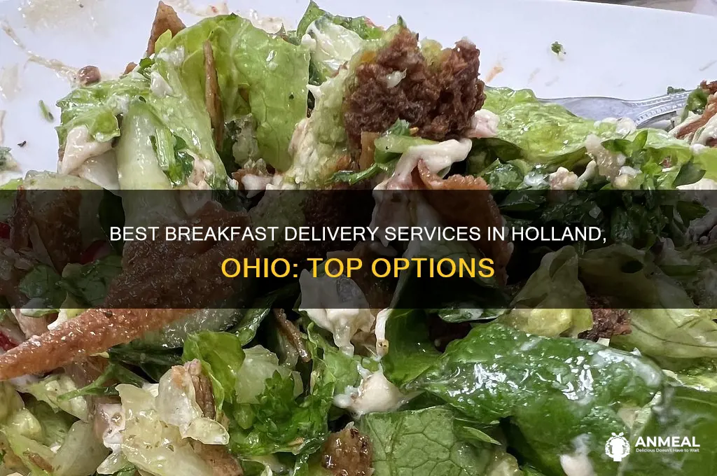 who delivers breakfast in holland ohio