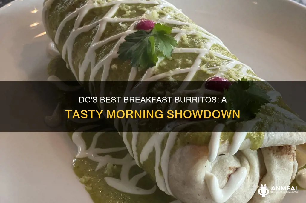who delivers the best breakfast burrito in dc