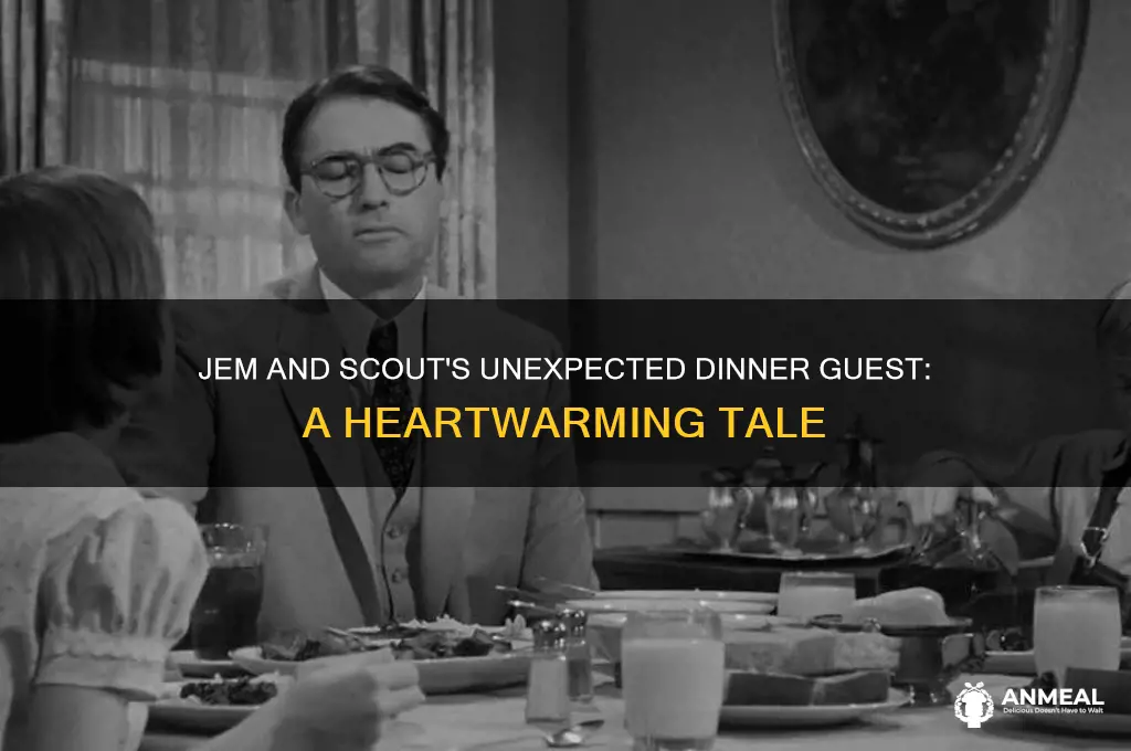 who did jem and scout invite to dinner
