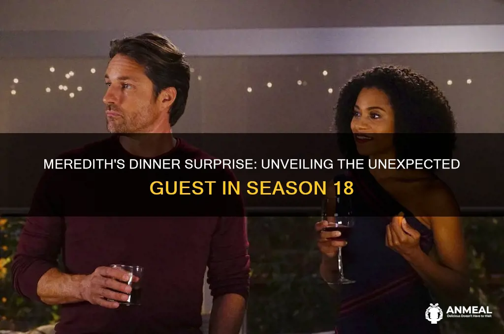 who did meredith see at dinner season 18