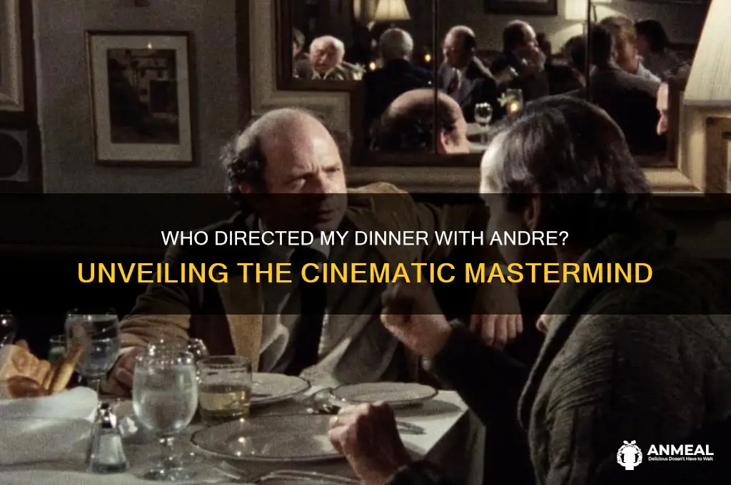 who directed my dinner with andre