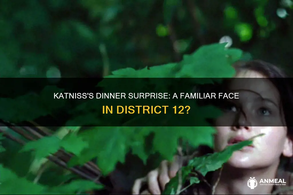 who does katniss think she recognizes at dinner