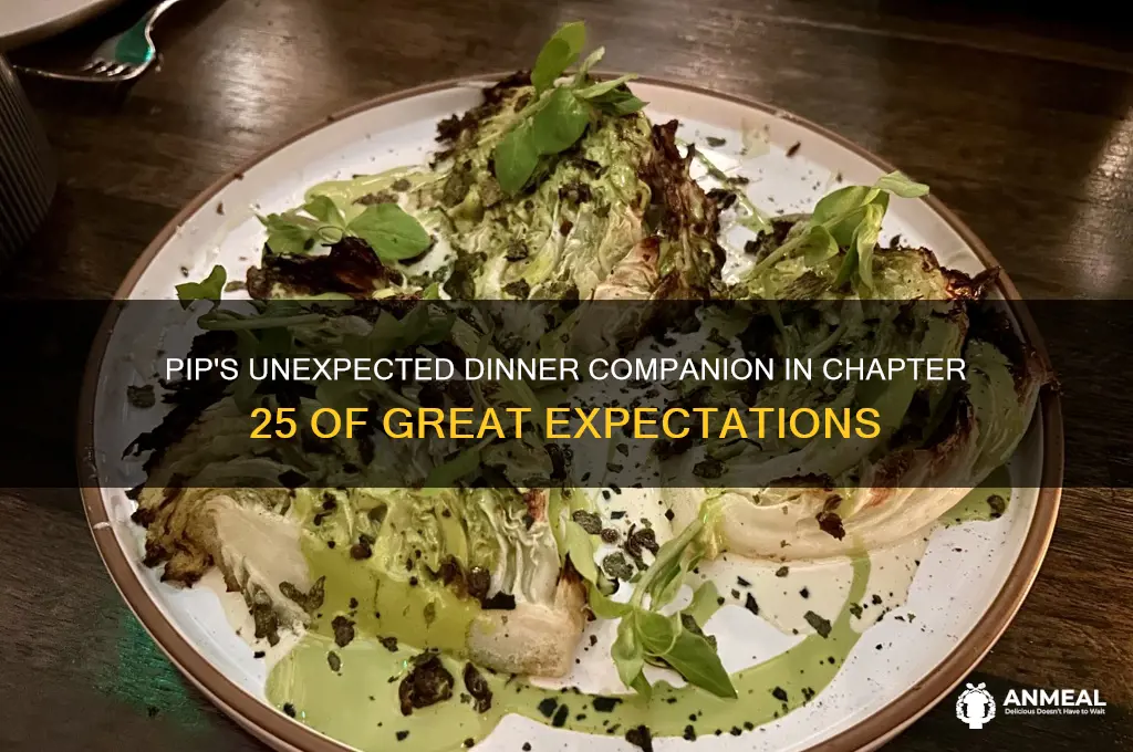 who does pip have dinner with in chapter 25