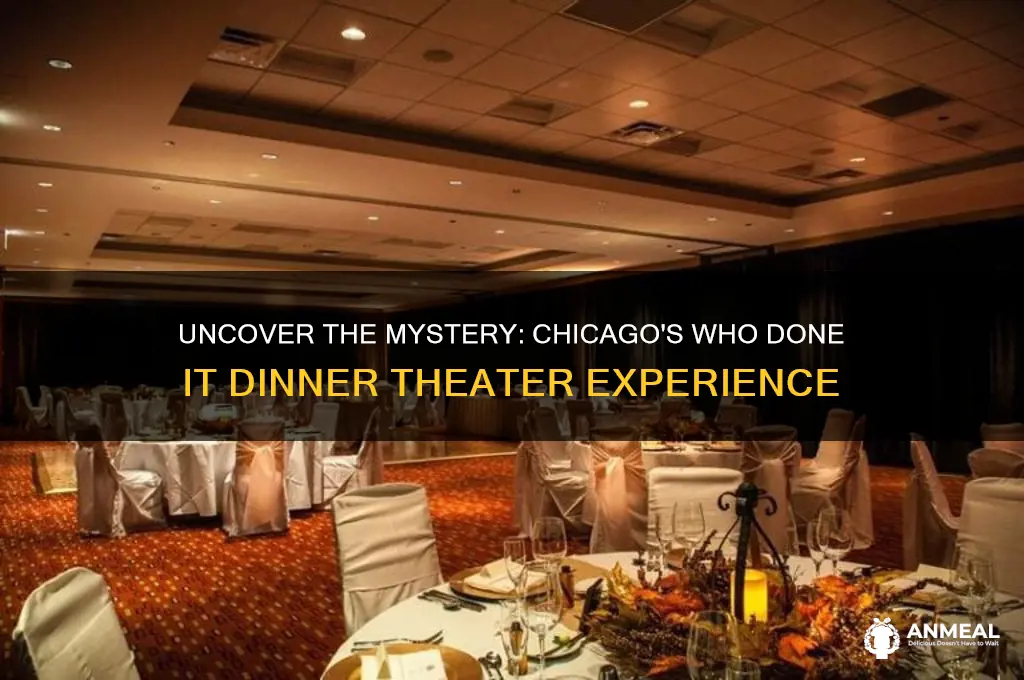 who done it dinner theater chicago