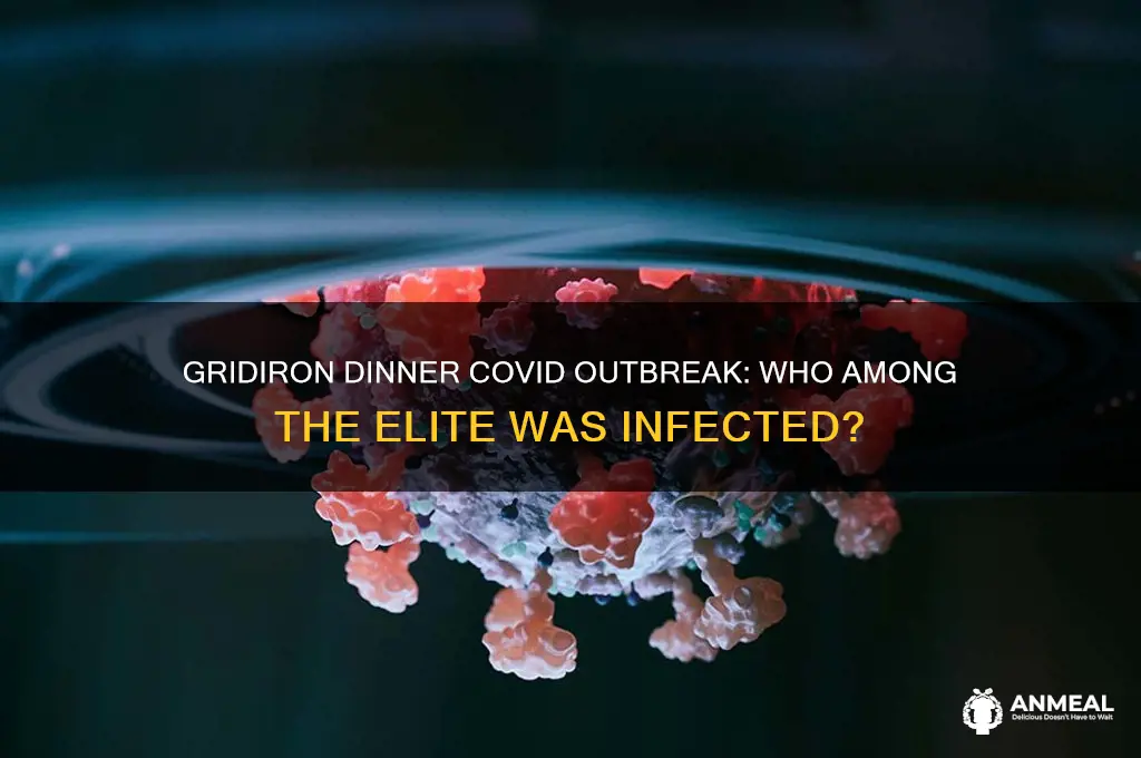 who got covid at gridiron dinner