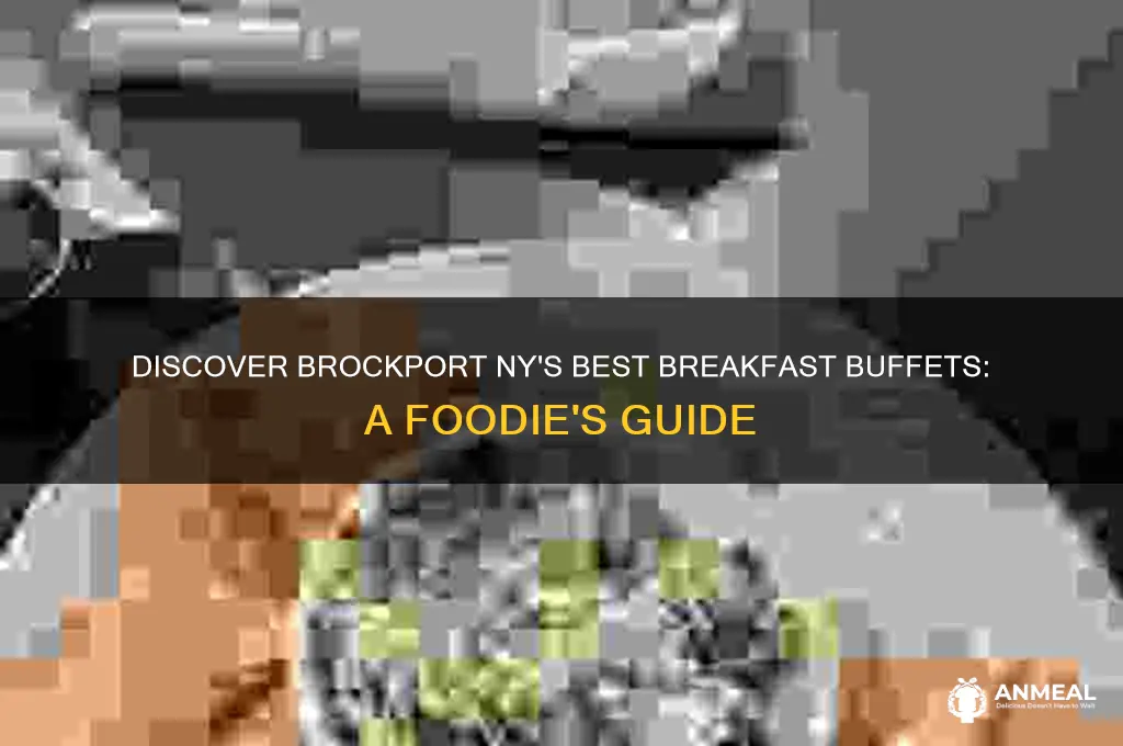 who has a breakfast buffet in brockport ny