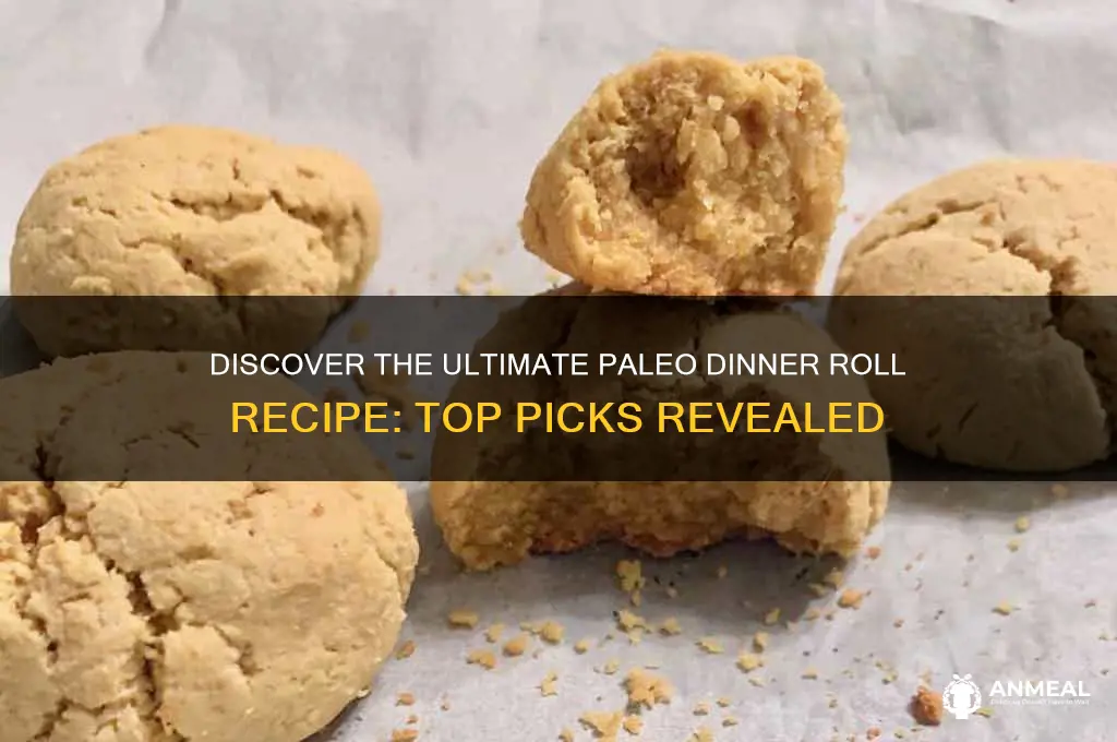 who has best paleo dinner roll recipe