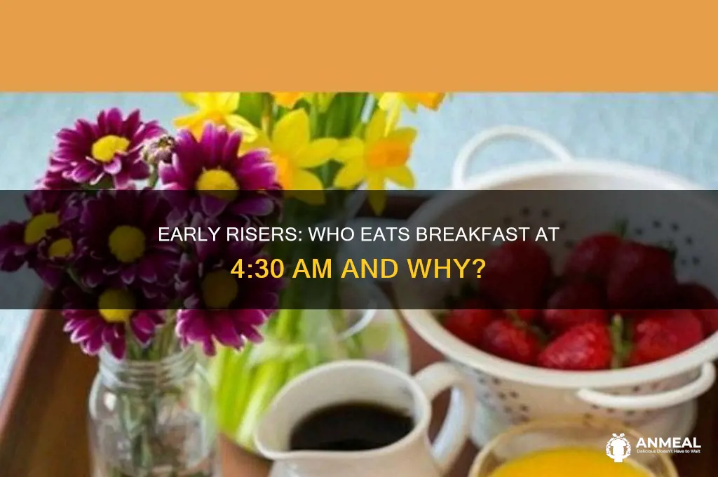 who has breakfast at 4 30 am