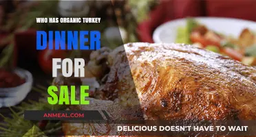 Where to Buy Organic Turkey Dinner: Top Retailers and Options