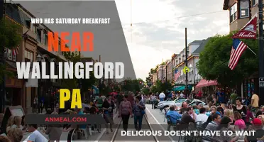Discover Wallingford PA's Best Saturday Breakfast Spots Nearby