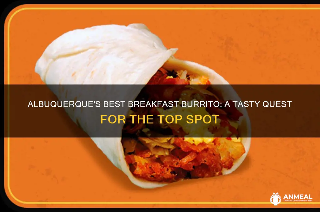 who has the best breakfast burrito in albuquerque