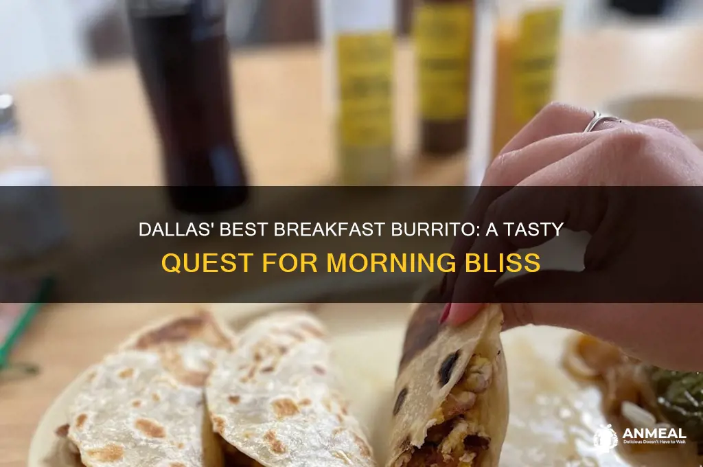 who has the best breakfast burrito in dallas